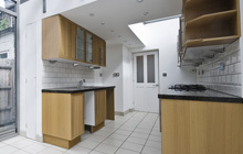 Godmanstone kitchen extension leads
